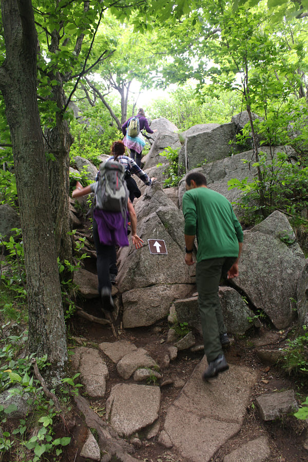 Wow, some hands-on scrambling!