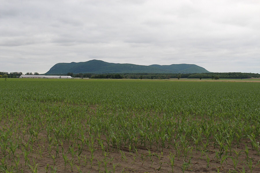 Well, at least it's not raining here...yet!