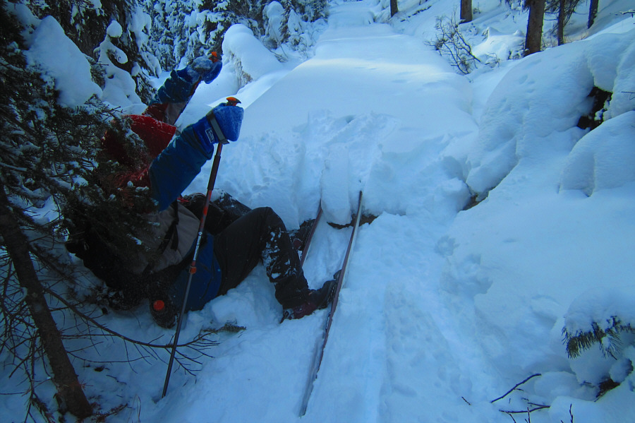 Are we having fun yet??