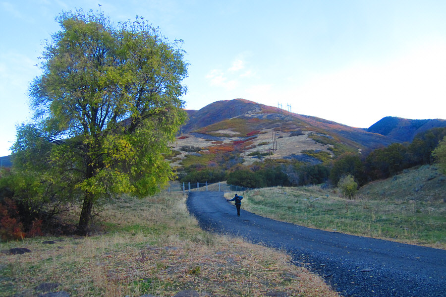 Hard to believe that there is over 1600 metres of elevation gain ahead!