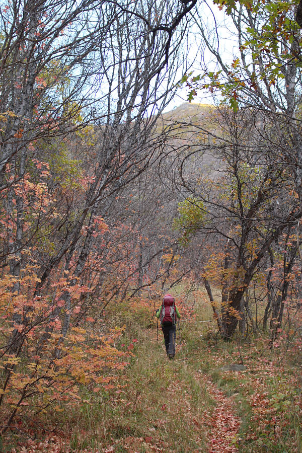 All that is missing are some gnomes!