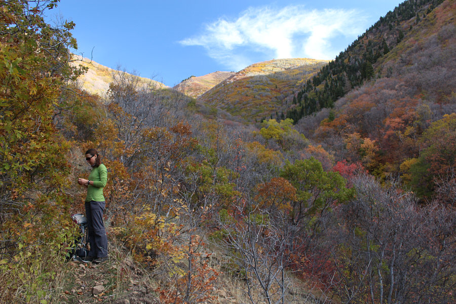 The trees on the right are like an artist's pallette!