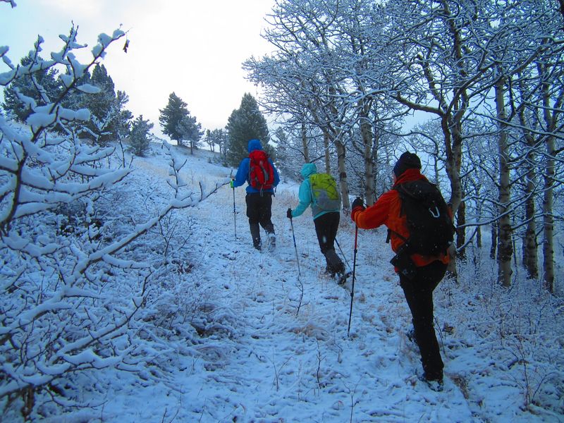 Walking in a winter wonderland...oh wait, it's spring, isn't it?