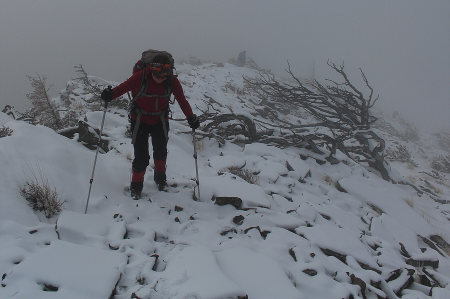 At least there's no wind today (note the krummholz)...