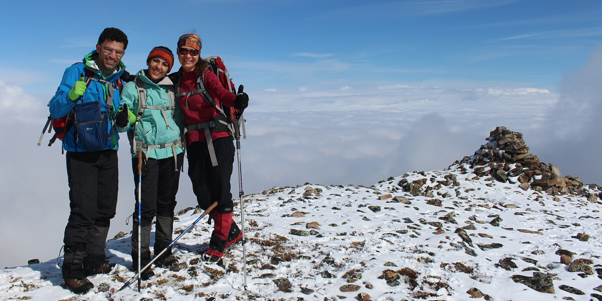 Yep, thumbs up all around!