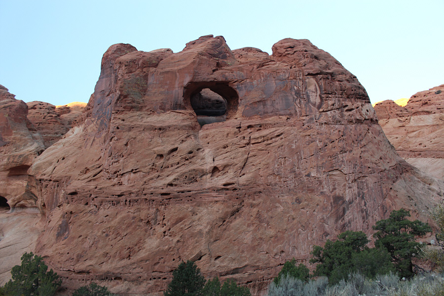 I don't think it's officially named, so I'll just call it the Cyclops!