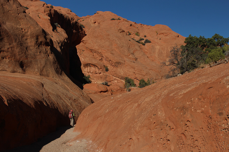 Apparently the name comes from the tendency for mules to get all twisted in this canyon.