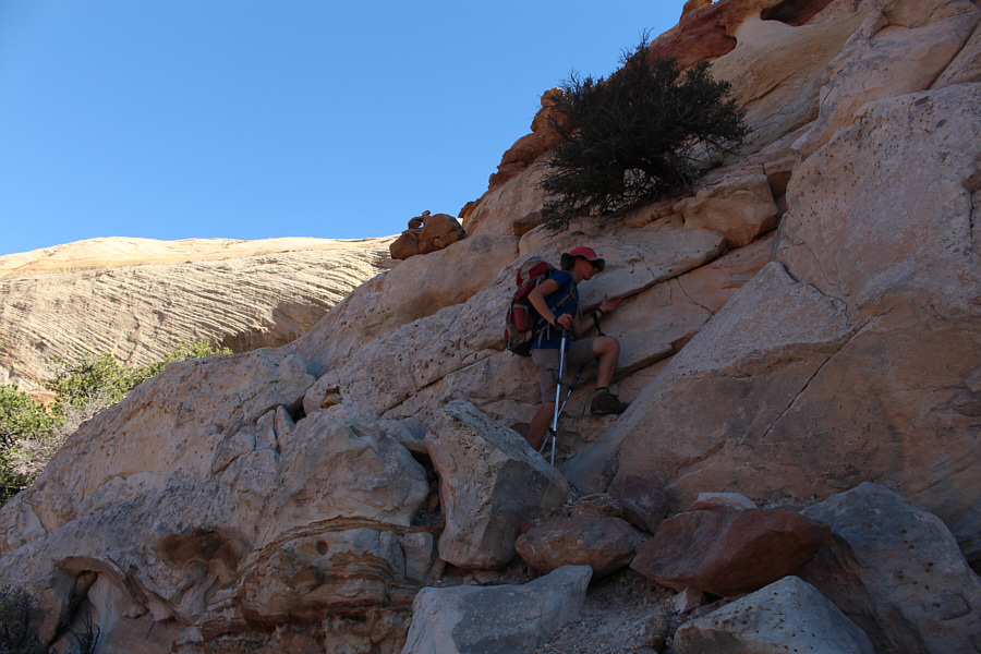 Did you bring your helmet, Zosia??