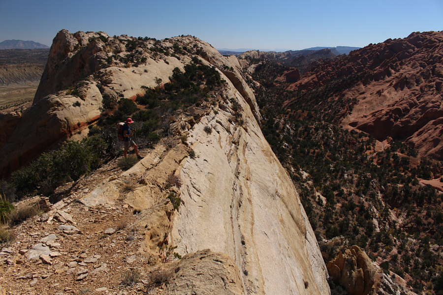 Hmmm...how do we get back down into the canyon from here??