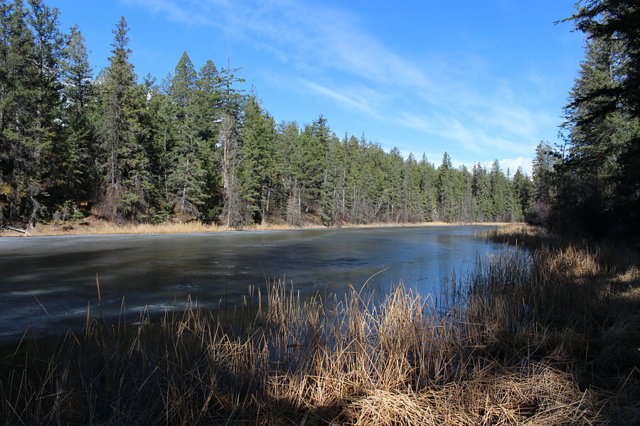 Nice teaser, though.