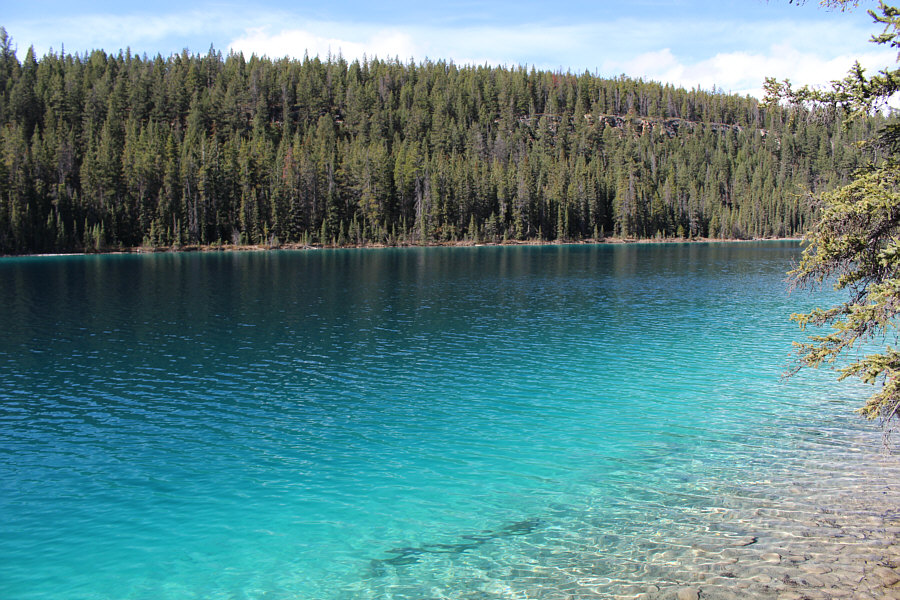 Unfortunately, we did not get to a good vantage point to photograph the most beautiful of the "Five Lakes".