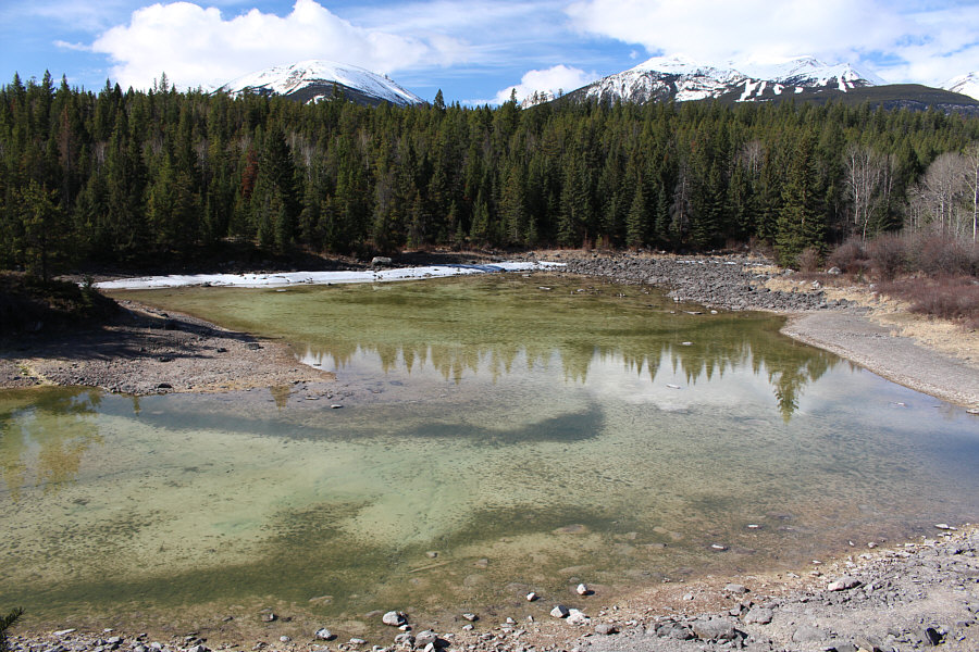 Close to being a mud hole!