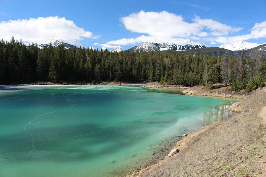 Maybe we should have brought ice skates...