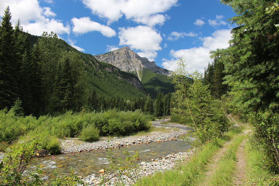 It's already too late to climb Mount Washburn on this day...sigh.