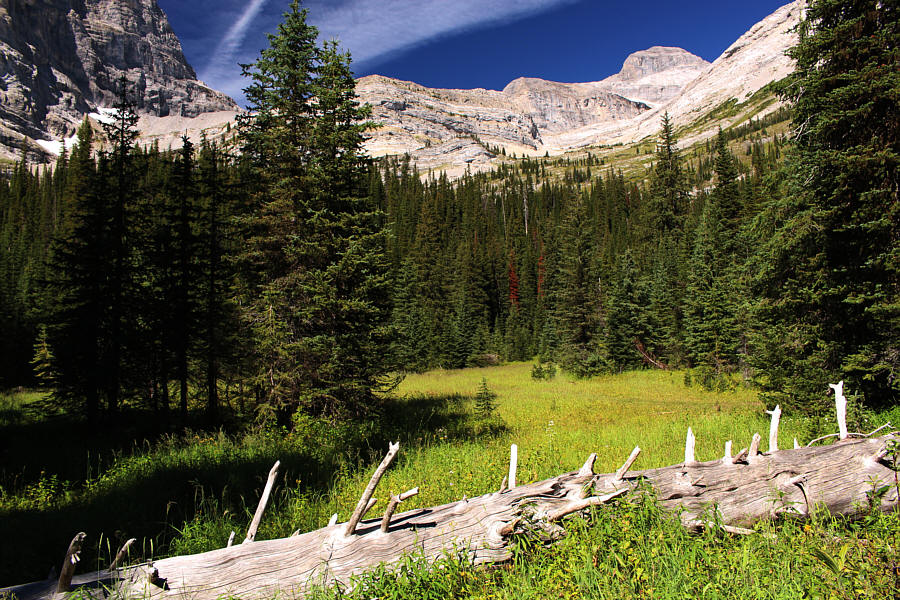 Actually, most of the route on the upper mountain is visible from here.