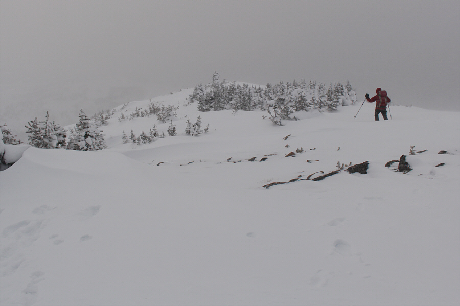 It makes no sense to wander further on a day like this.