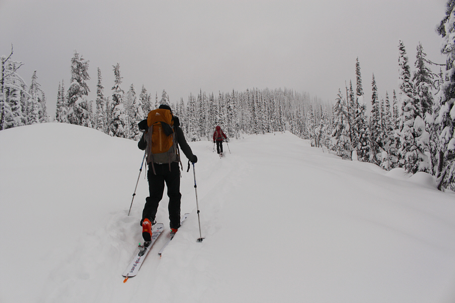 The snow is awesome here!