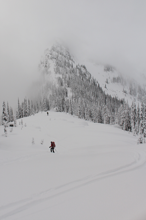 We probably should have turned right here and headed into the trees sooner...