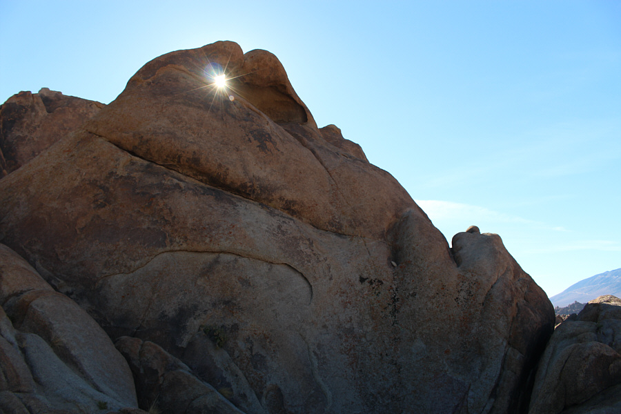 Looks kinda like Jabba the Hutt! Oh, oh, oh!!