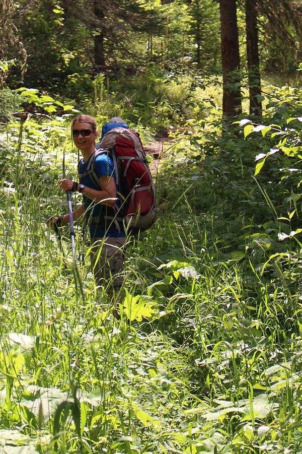 Ironically, you don't see much of Waterton Lake from the Lakeshore Trail!