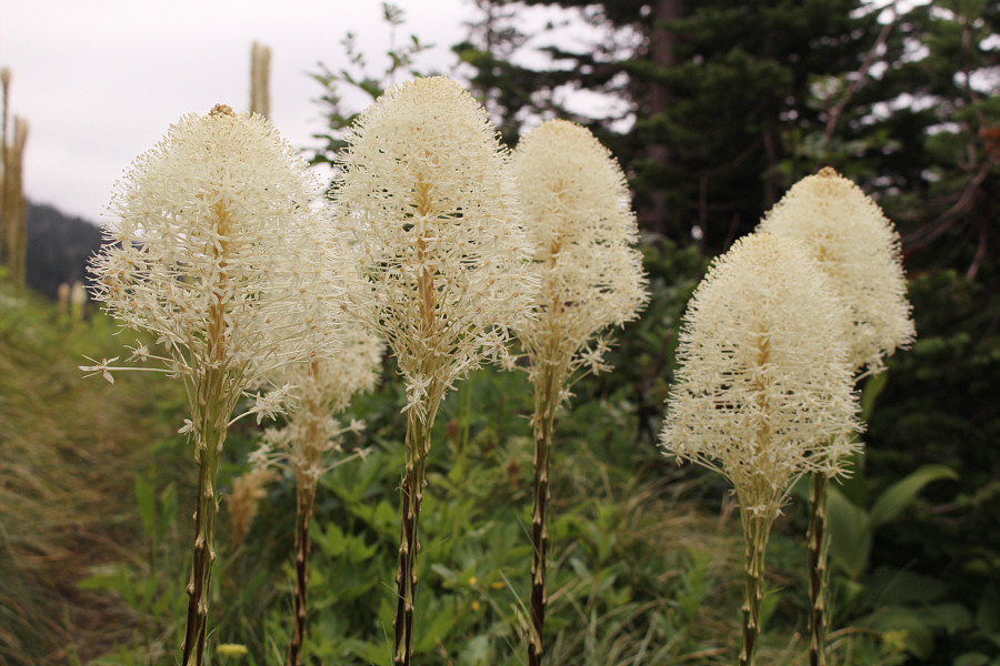 A perennial favourite!