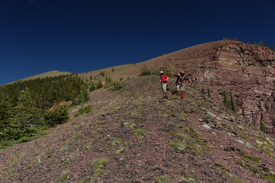Feels wonderful to hike without a tree branch in your face or between your legs!