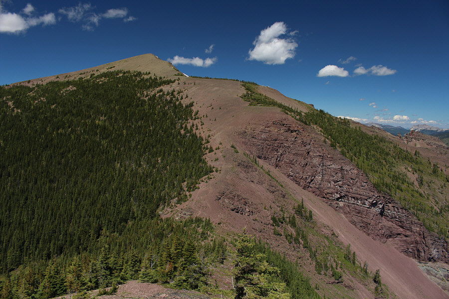 I wonder how many people bother continuing to Bennett Peak after traversing Akamina Ridge...