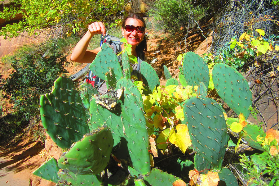 Looks like somebody took a bite out of a few of them...ouch!