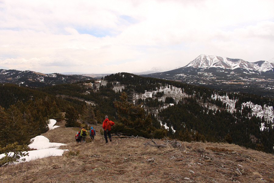 It's so windy that even the ticks are scared to come out today!