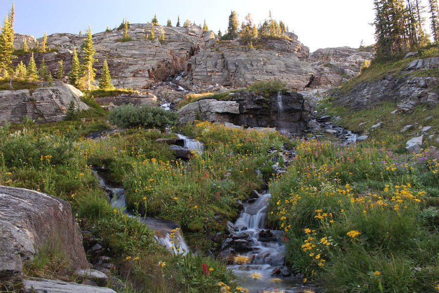 And there are still mosquitoes and other annoying bugs here. Most unusual for this time of year.