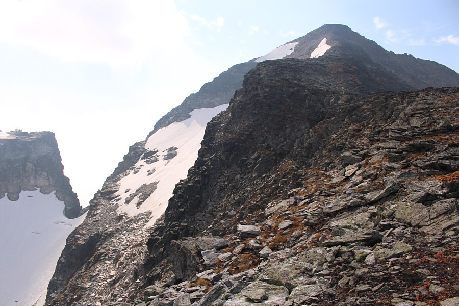 The others need to invest in some brighter clothing!