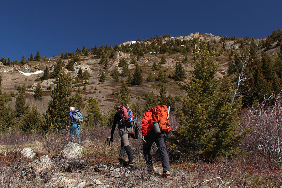 Watch out for ticks!