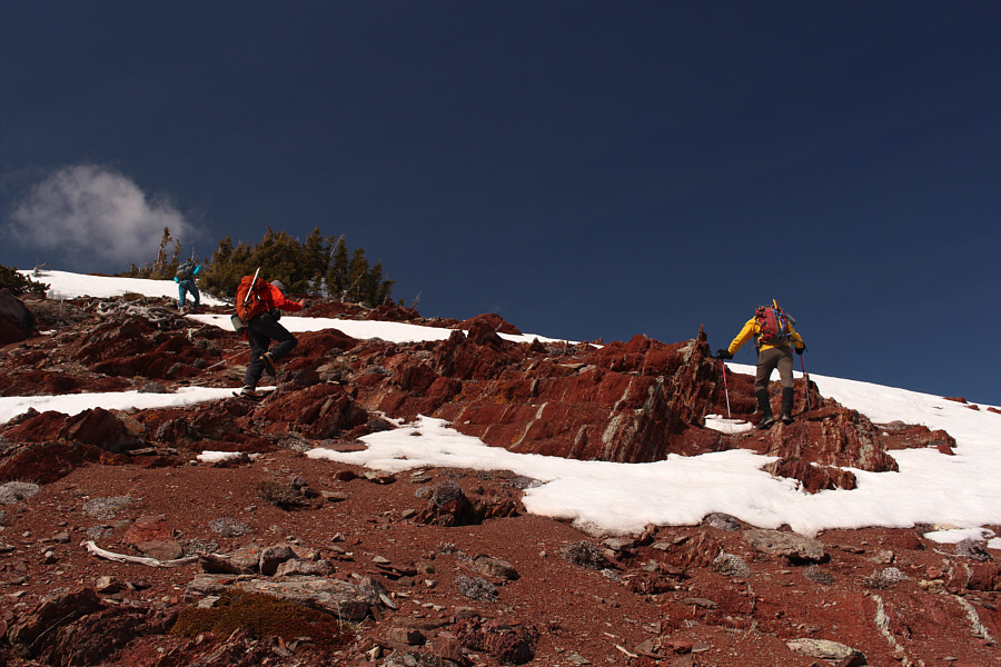 This always reminds me of meat!