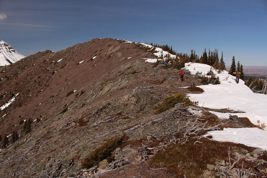 Andrew likes living on the edge by walking on cornices!