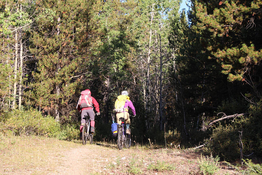 The cycling was still enjoyable here.