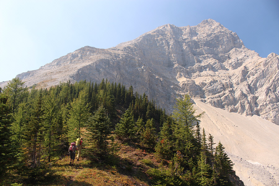 Go up past the last trees before traversing left!