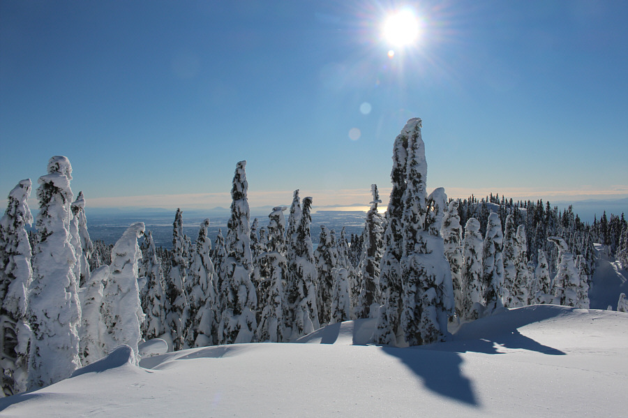 Kinda looks higher...