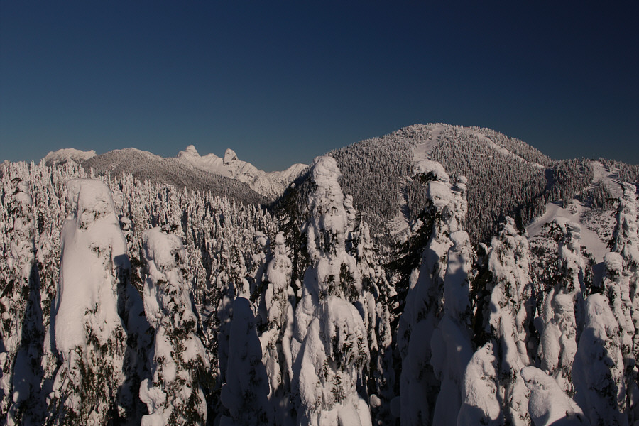 Why is it necessary to name Unecessary Mountain!?