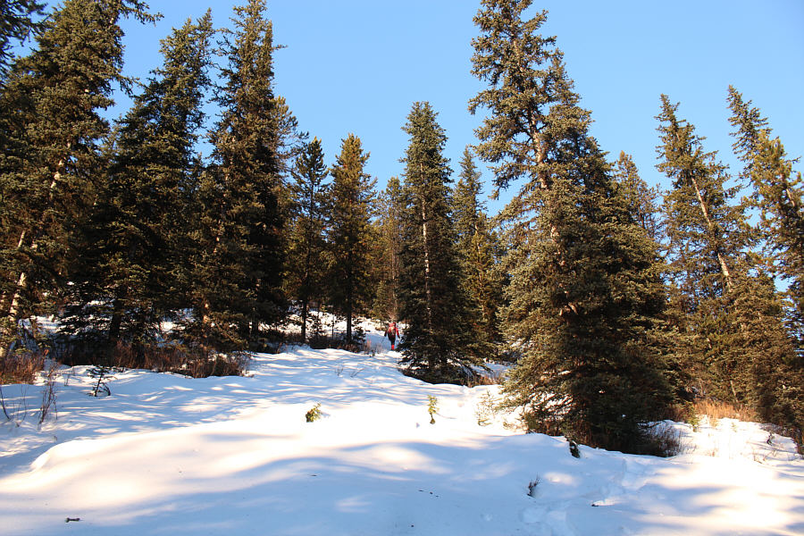 Not very inspiring at all!