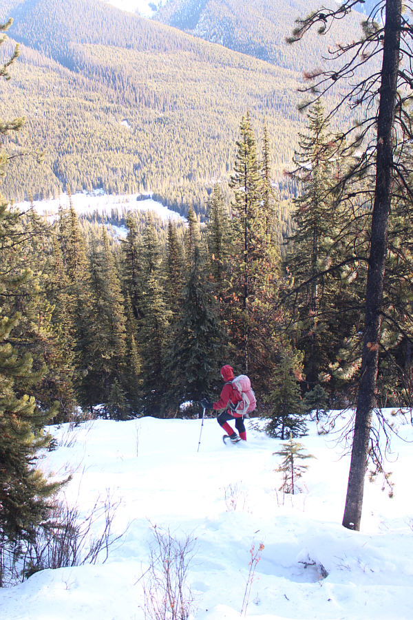 Just let gravity do all the work!