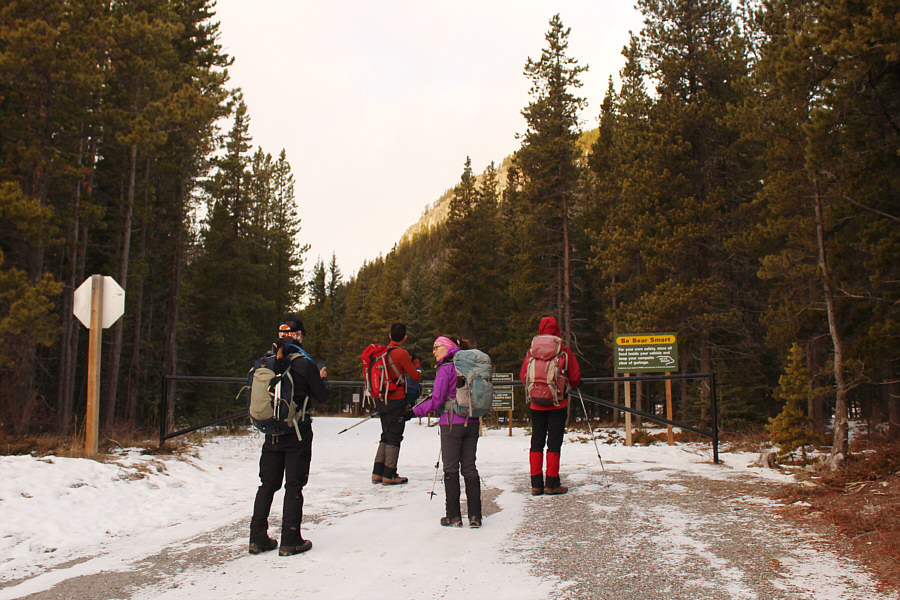 I have fond memories of camping here and tossing a football around in the forest with my friends.