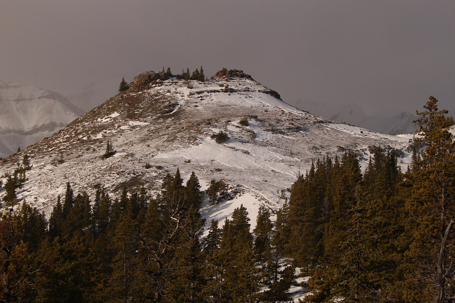 It's actually two knobs for the price of one!