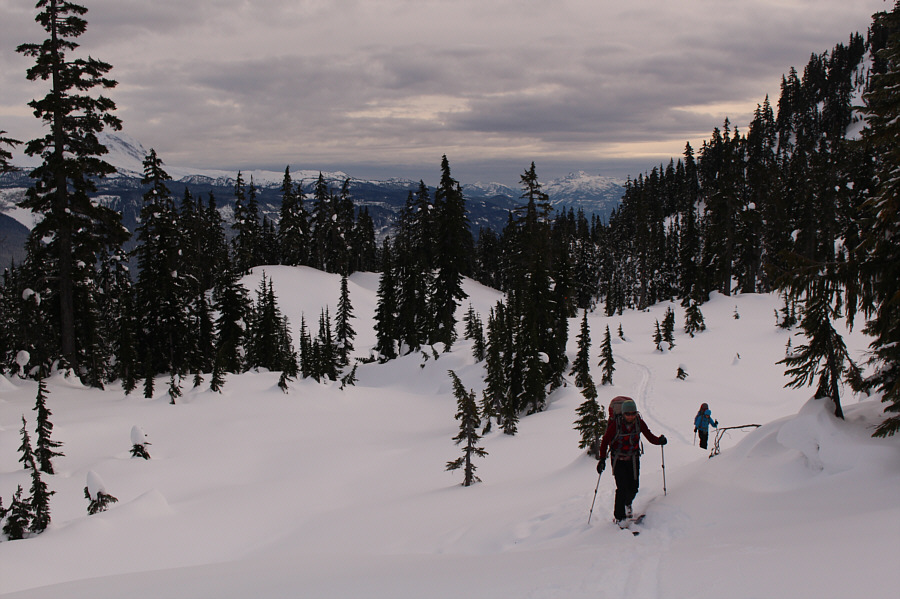 The hardest skiing was in those pesky trees!