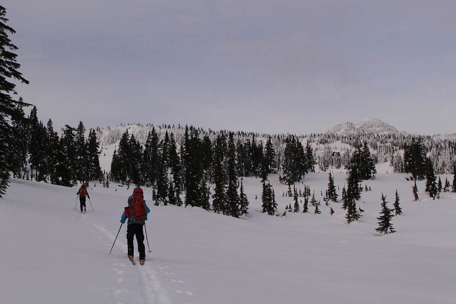 Hmmm...I'm getting rather thirsty all of a sudden...