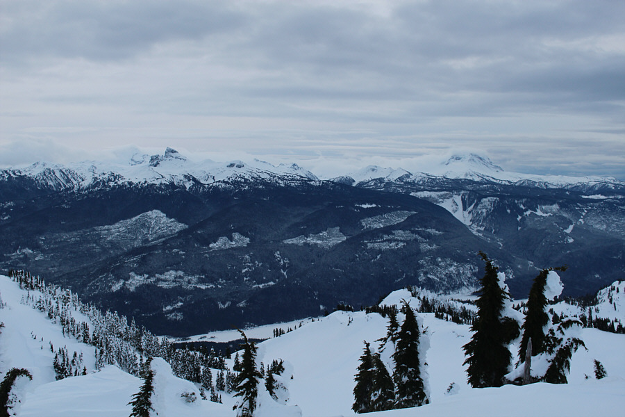 Can you spot the crow?