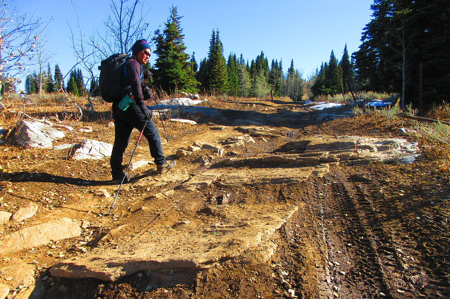 I just bought 4 brand new tires this morning. I don't need another expensive repair for my car!
