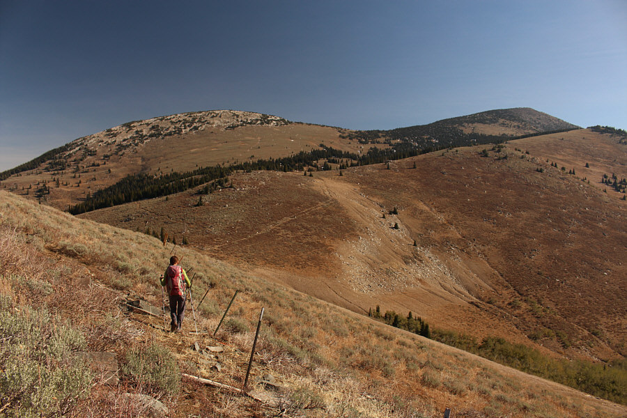 Despite some ups and downs, it's better to stick to the road all the way to the trailhead.