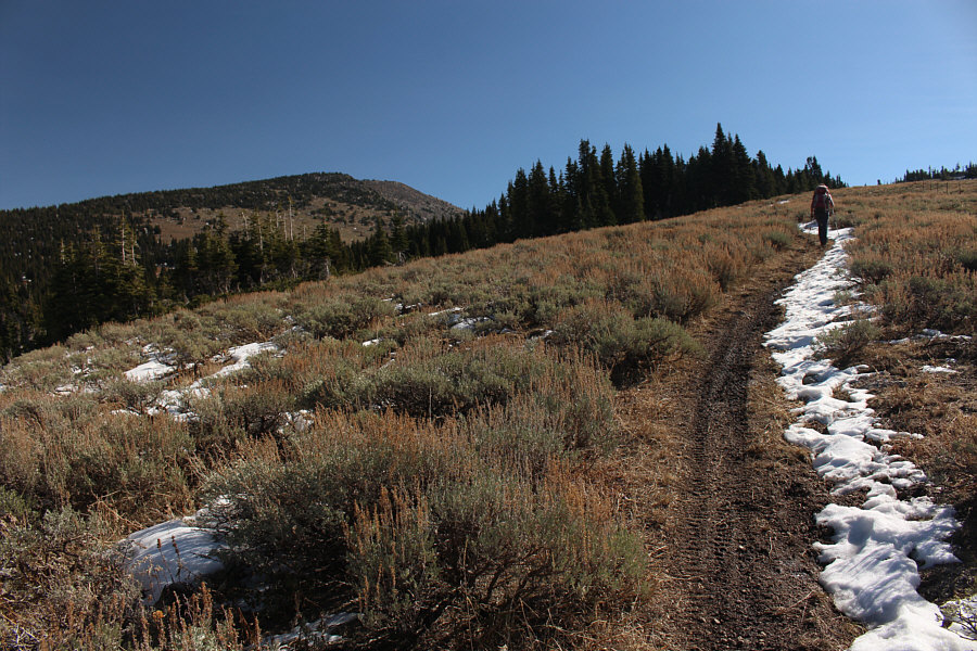 Someone must have come up here on a dirt bike...