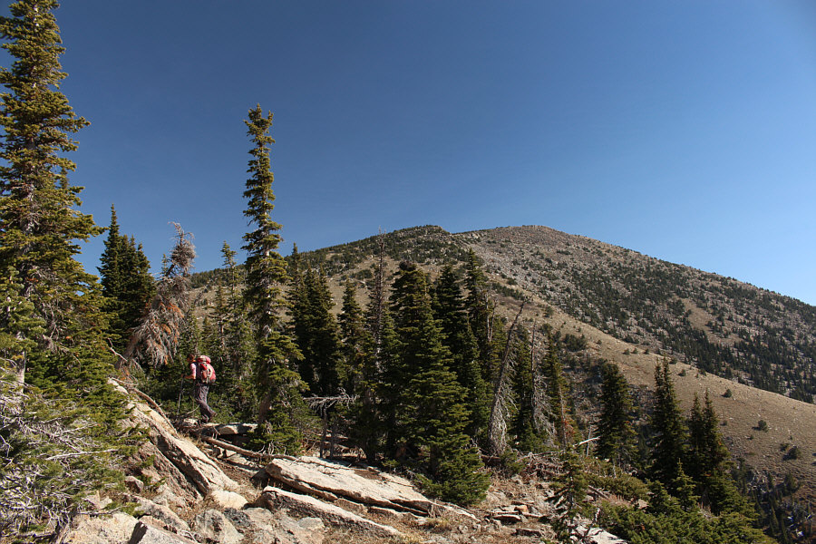 From here, I would have bet money that there was no snow up there!