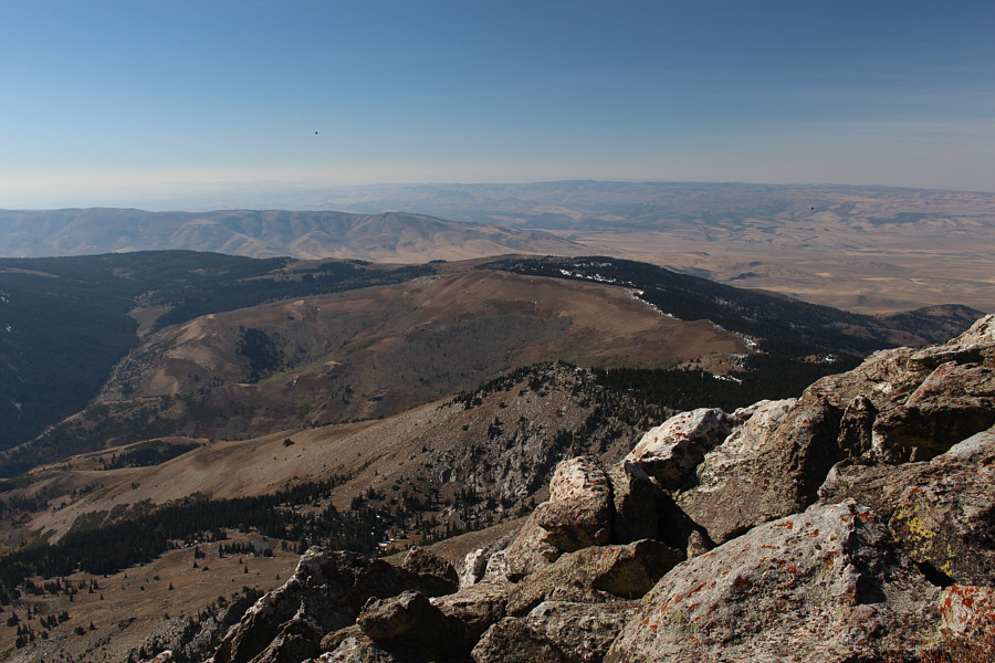 It was a long drive just to get to where I parked my car.